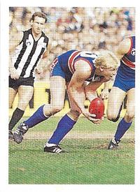1991 Select AFL Stickers #113 Scott Wynd Front